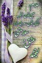 Hamid Reza Mahmoodianfard Picture