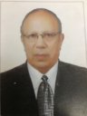 M. Essam El-Rafey